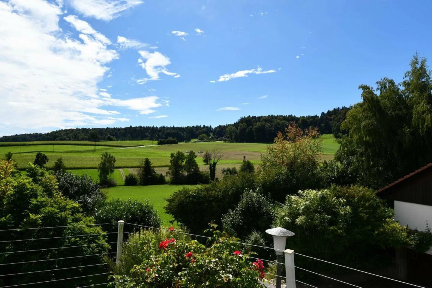 Sehr gepflegtes 5.5-Zi.-Einfamilienhaus mit wunderschönem Garten - Foto 4 von 12