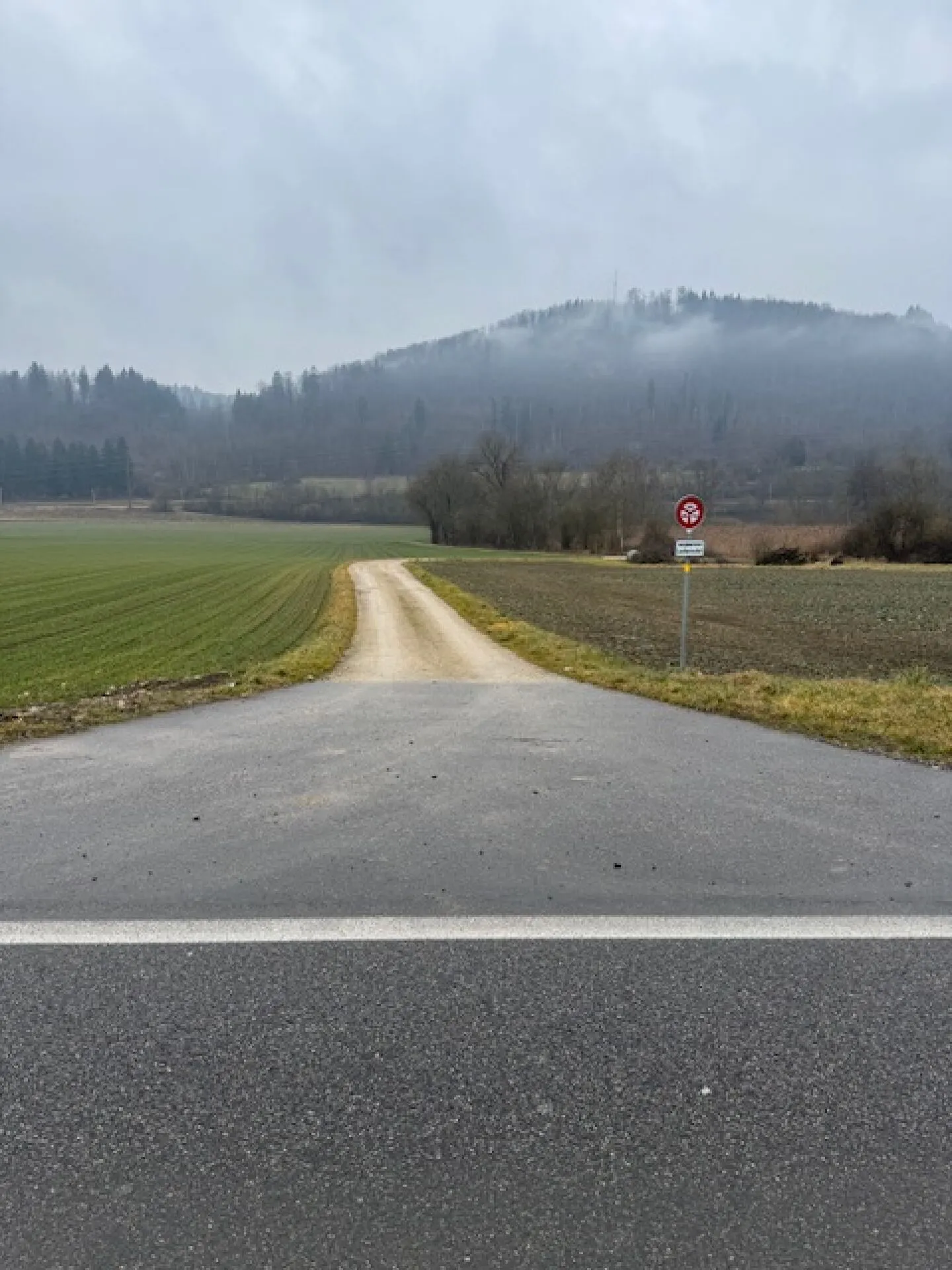 Terreno edificabile nella zona industriale di Bad Zurzach - Foto 6 di 7
