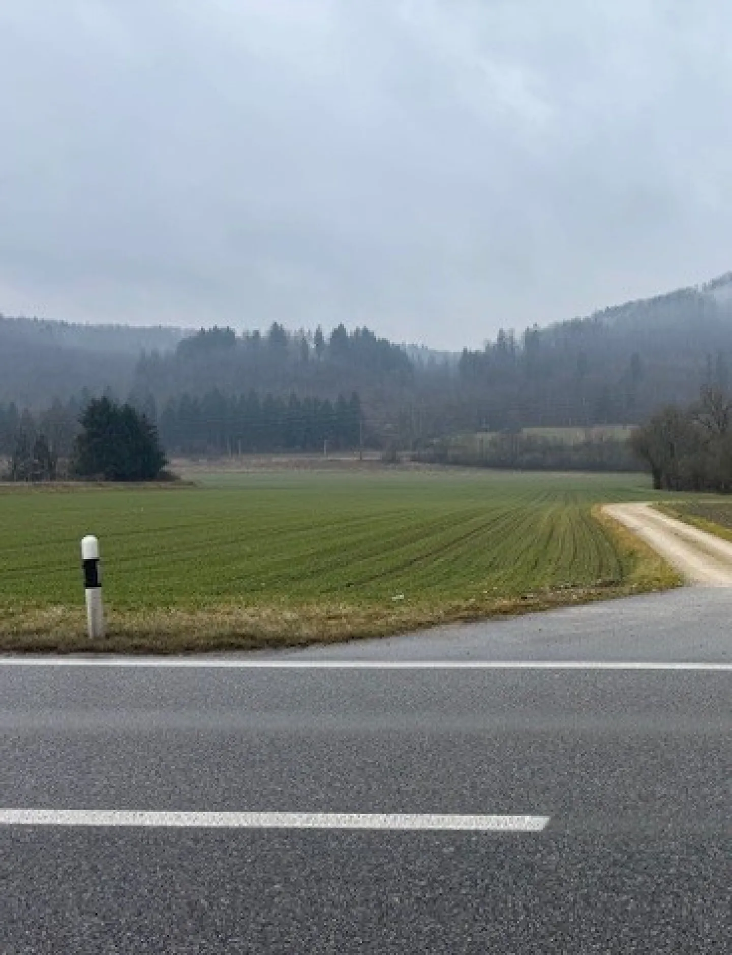 Terreno edificabile nella zona industriale di Bad Zurzach - Foto 7 di 7