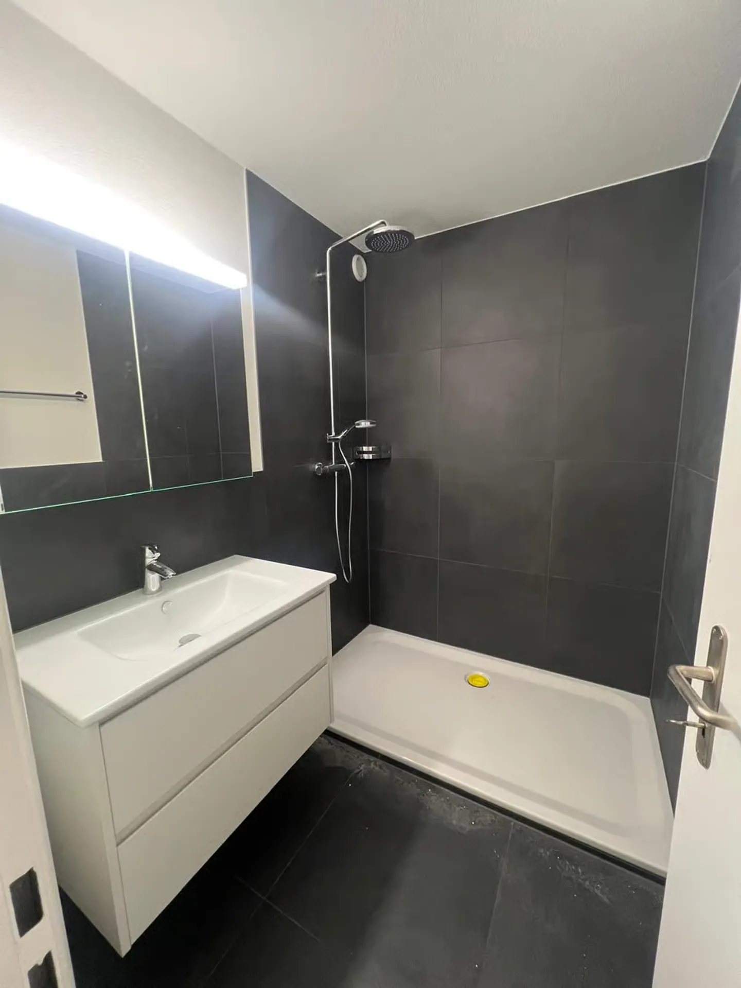 Appartamento 3.5 stanze completamente ristrutturato e affascinante in affitto - Foto 3 di 6