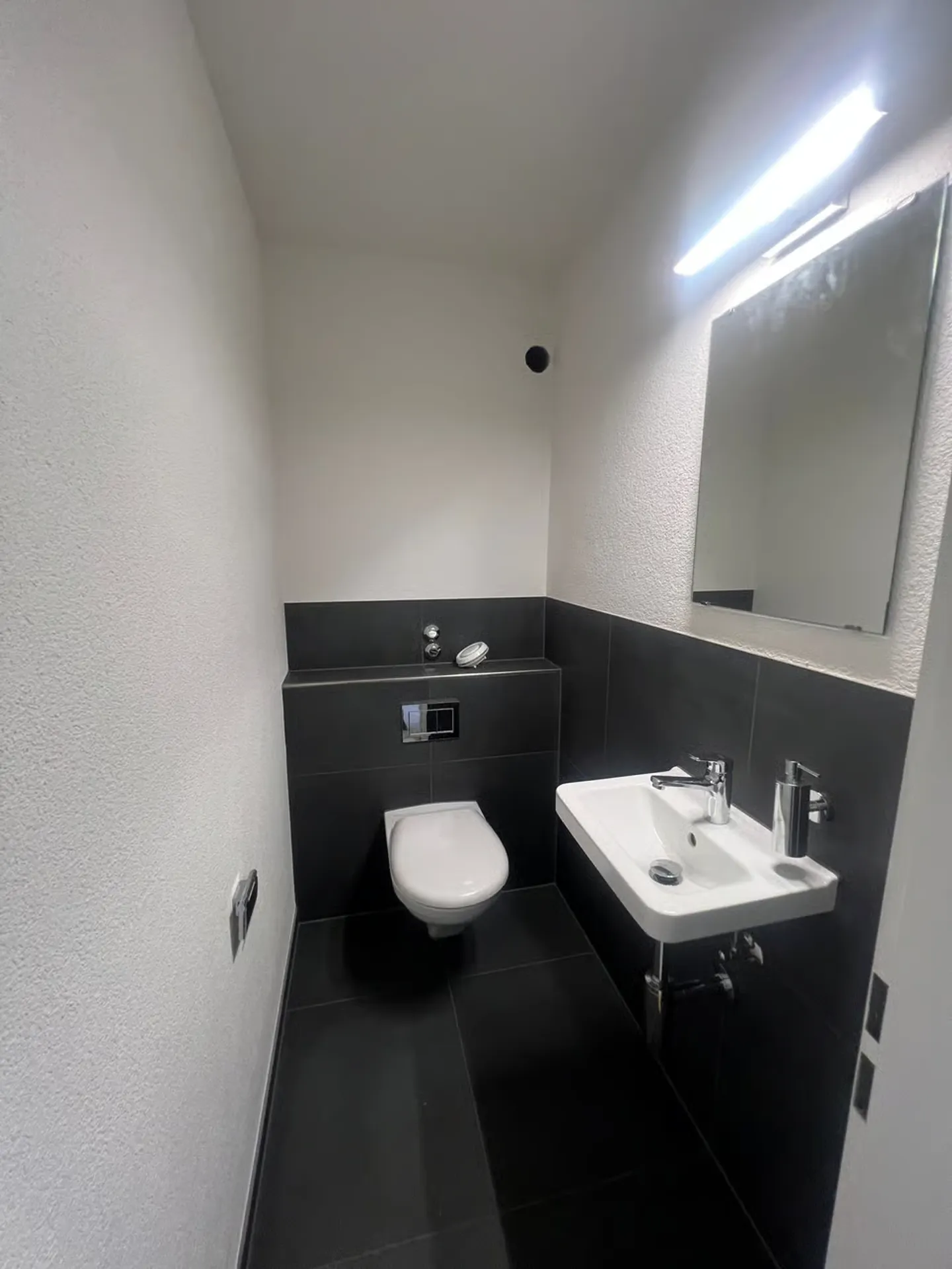 Appartamento 3.5 stanze completamente ristrutturato e affascinante in affitto - Foto 4 di 6