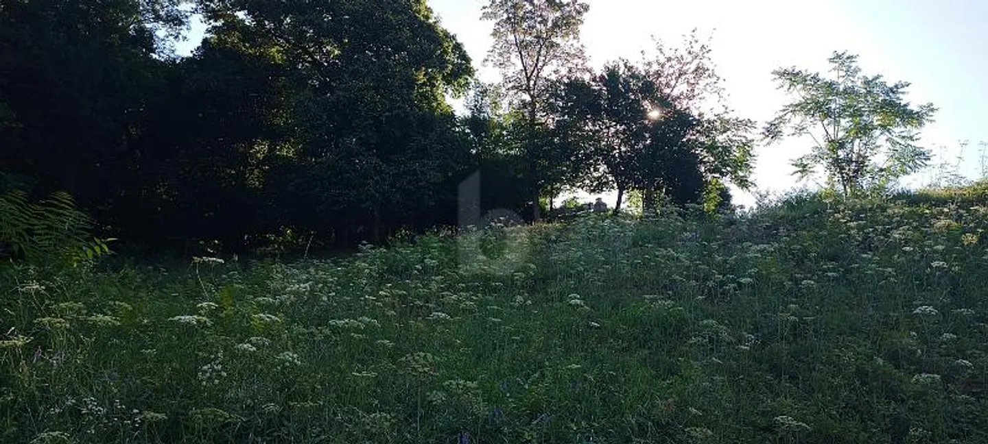 BUILDABLE LAND WITH OPEN VIEW - Photo 4 of 5
