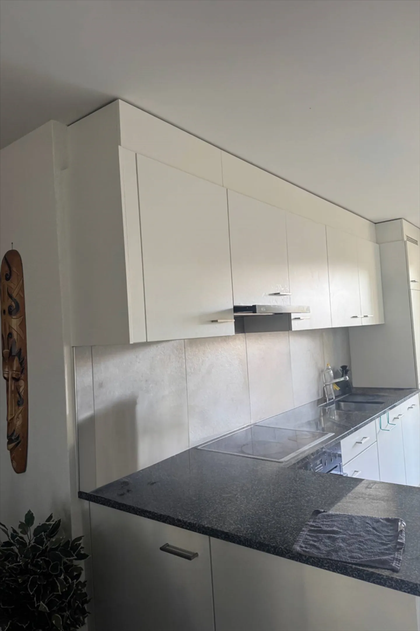 3.5 Room Apartment - Photo 2 of 5