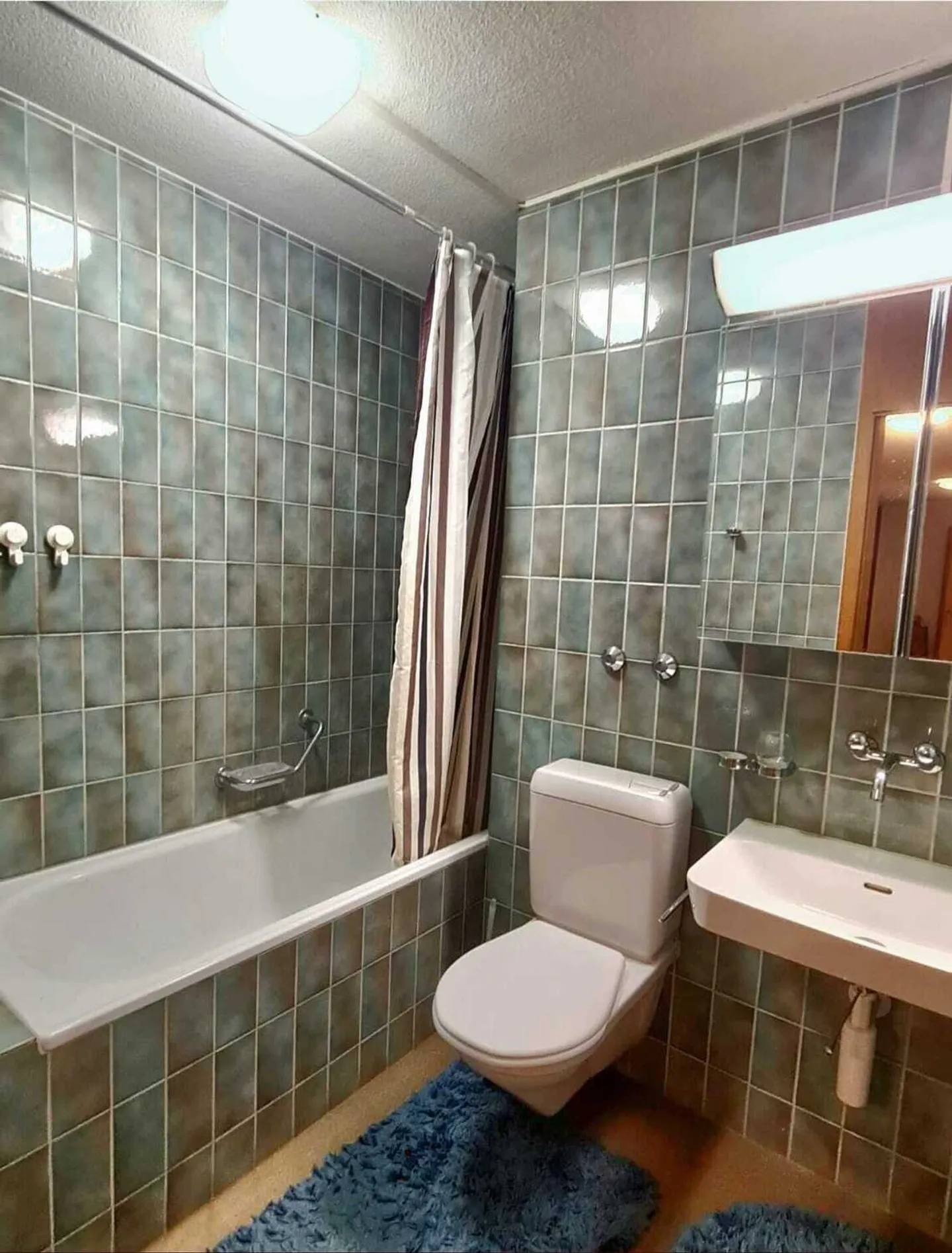 Spacious Apartment in Bern - Photo 8 of 10