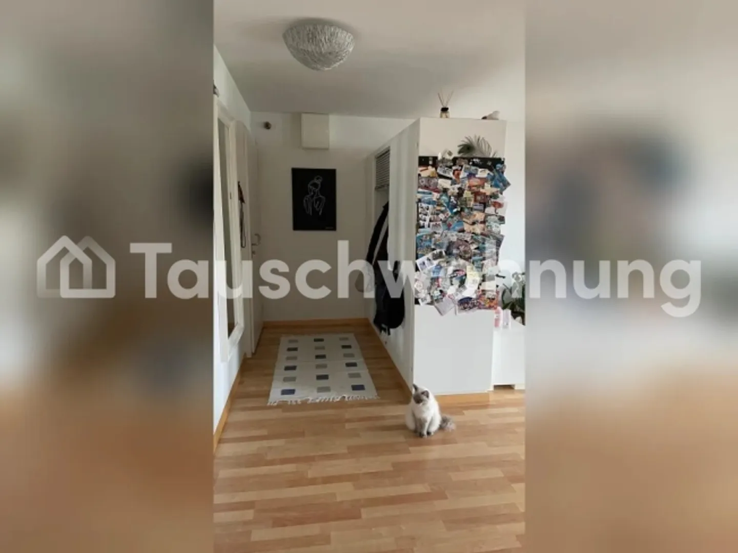 Scambio appartamento 3.5 locali a Thun per appartamento a Zurigo - Foto 7 di 11