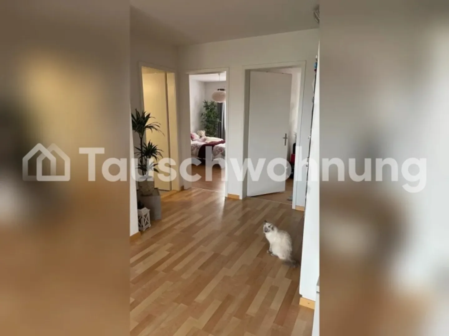 Scambio appartamento 3.5 locali a Thun per appartamento a Zurigo - Foto 8 di 11