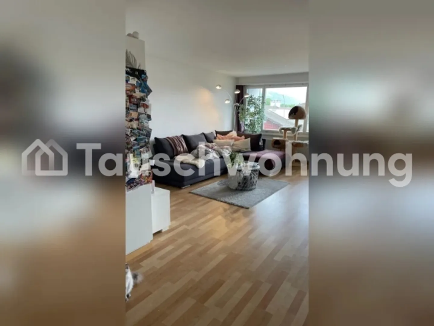 Scambio appartamento 3.5 locali a Thun per appartamento a Zurigo - Foto 9 di 11