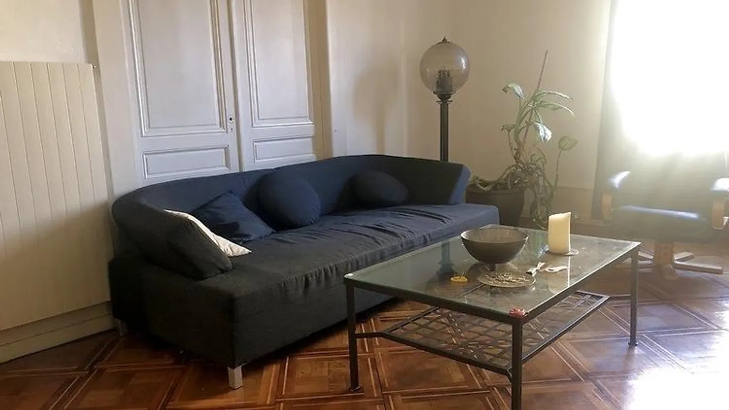 3½ ROOM APARTMENT IN GENEVA - CENTER, FURNISHED, FIXED TERM - Photo 2 of 10