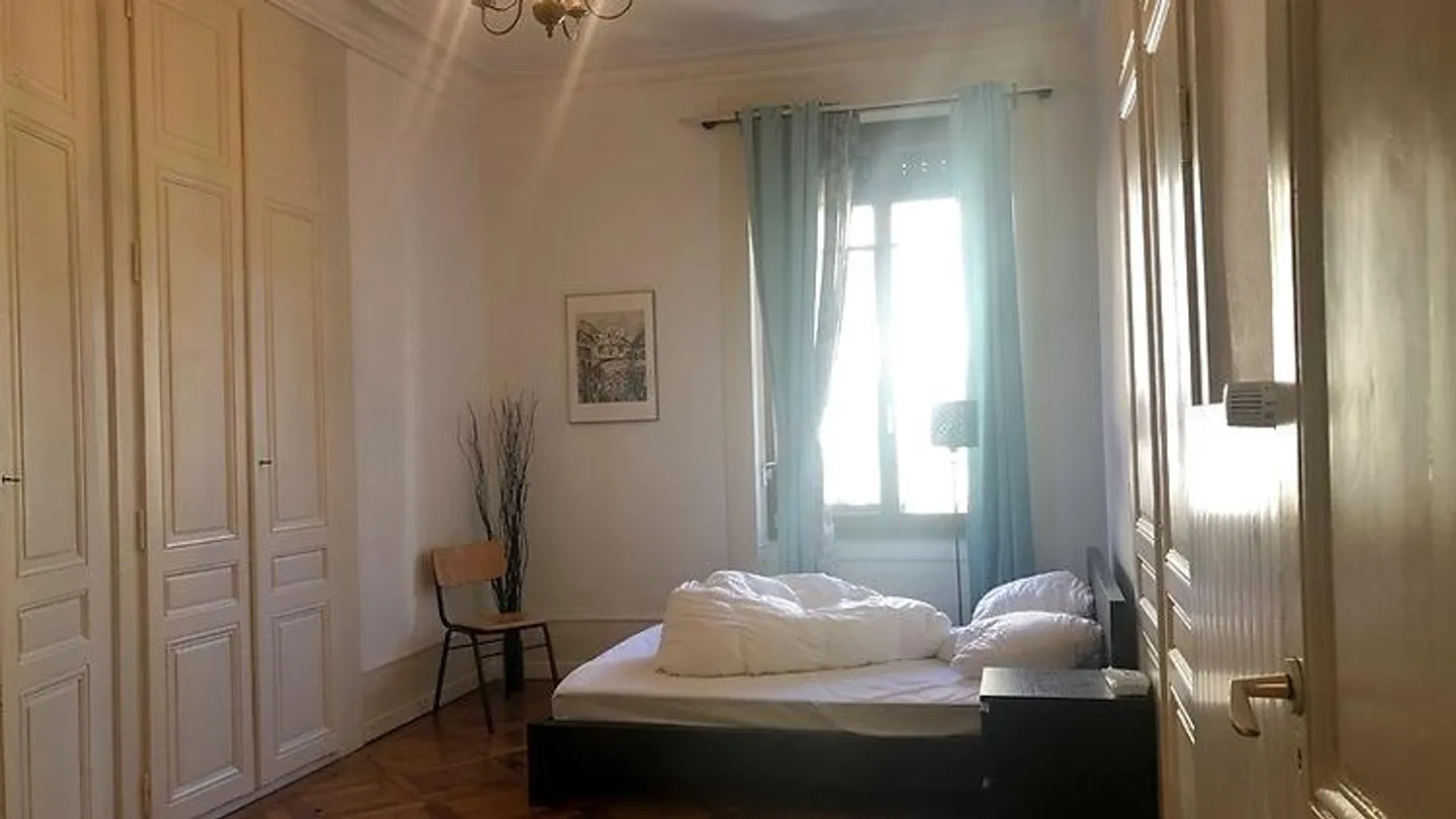3½ ROOM APARTMENT IN GENEVA - CENTER, FURNISHED, FIXED TERM - Photo 4 of 10