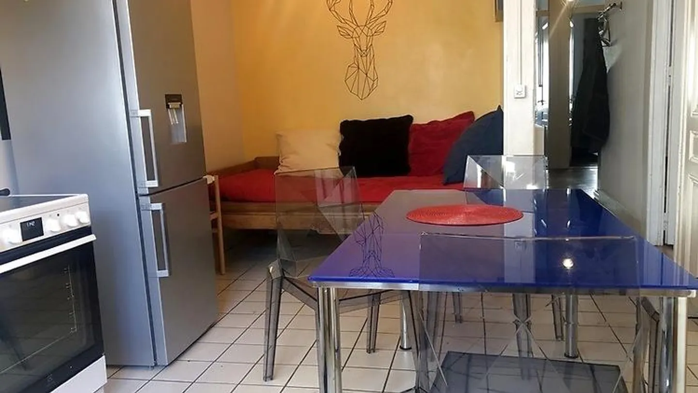 3½ ROOM APARTMENT IN GENEVA - CENTER, FURNISHED, FIXED TERM - Photo 6 of 10