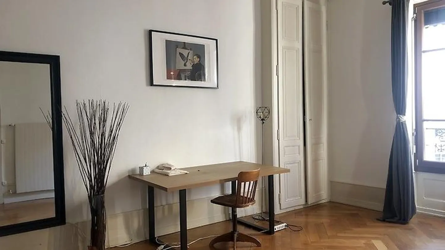 3½ ROOM APARTMENT IN GENEVA - CENTER, FURNISHED, FIXED TERM - Photo 3 of 10