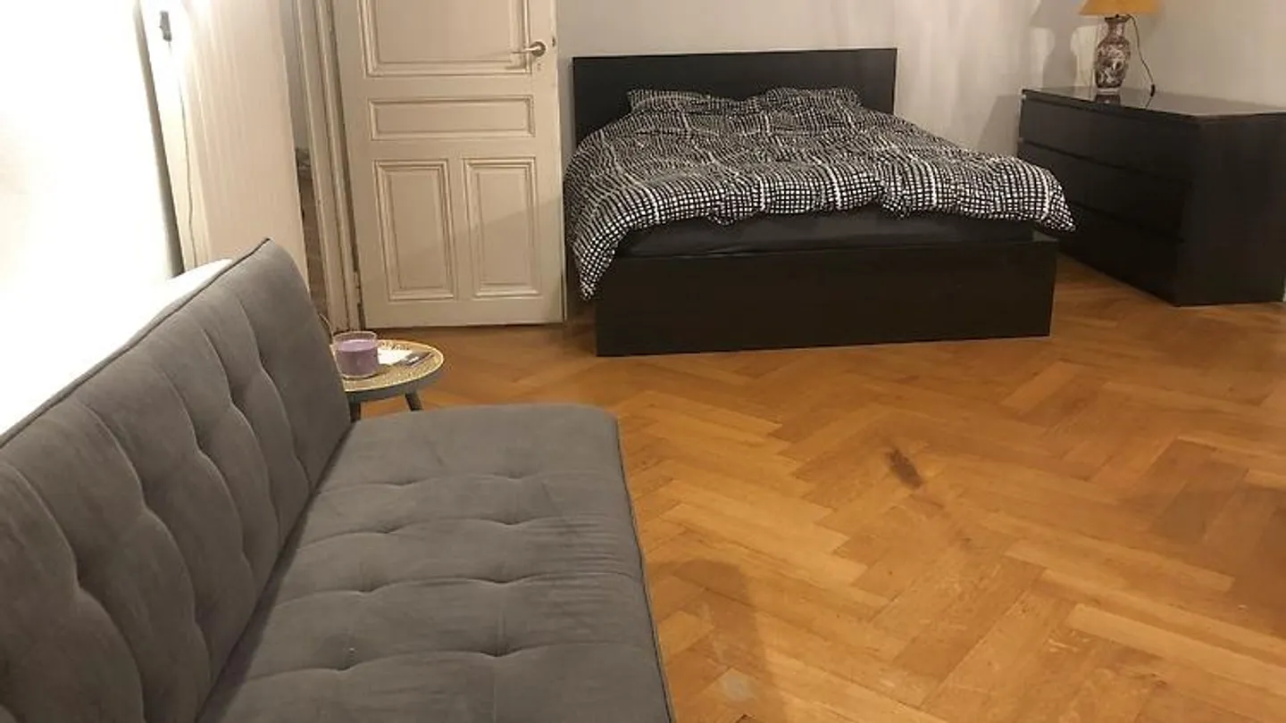 3½ ROOM APARTMENT IN GENEVA - CENTER, FURNISHED, FIXED TERM - Photo 8 of 10