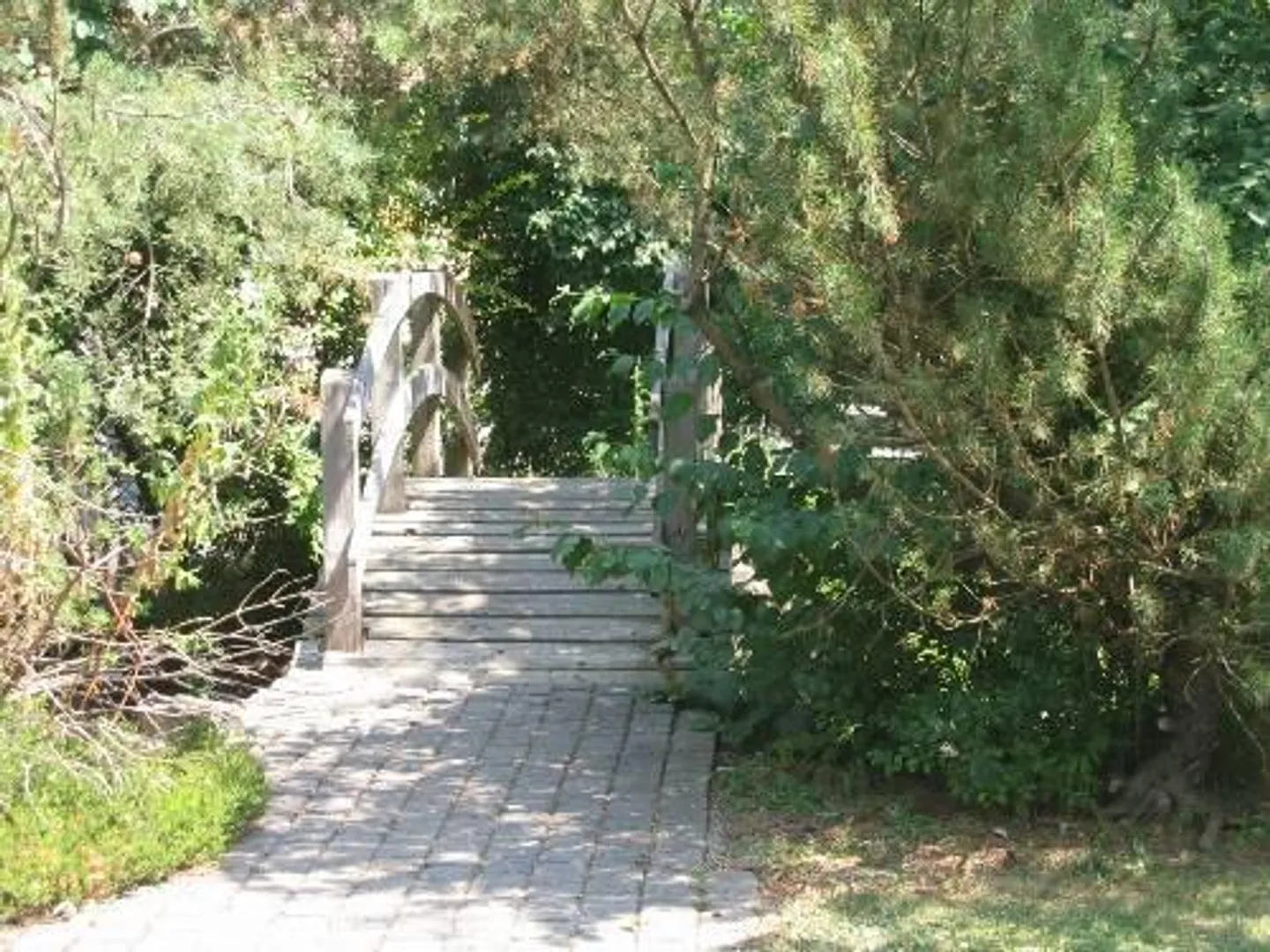 View of the mountain range! - Photo 2 of 5