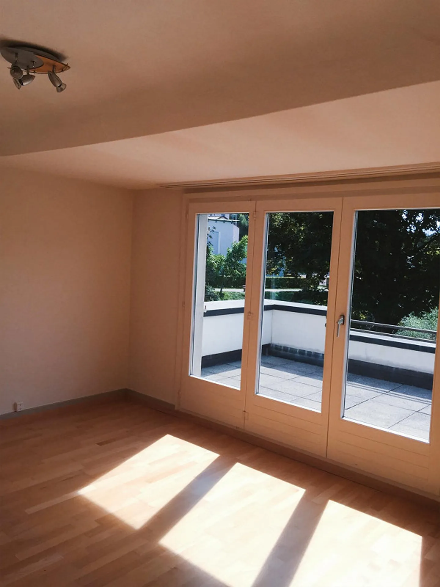 Casa unifamiliare su grande proprietà vicino alla Thur, situata nel centro di Wattwil - Foto 10 di 20