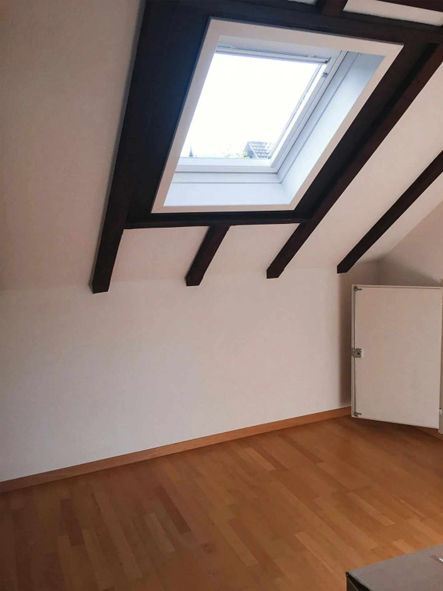 Casa unifamiliare su grande proprietà vicino alla Thur, situata nel centro di Wattwil - Foto 16 di 20