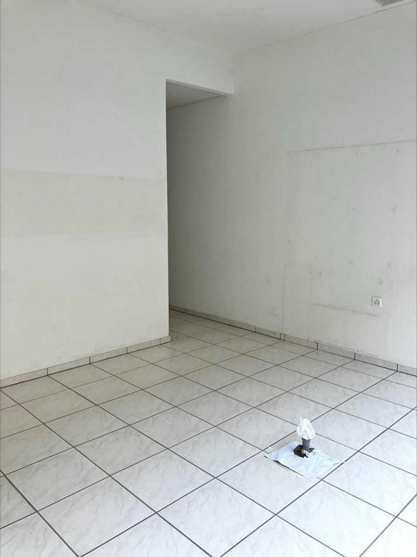 Vielseitiger Gewerberaum - Foto 4 von 7