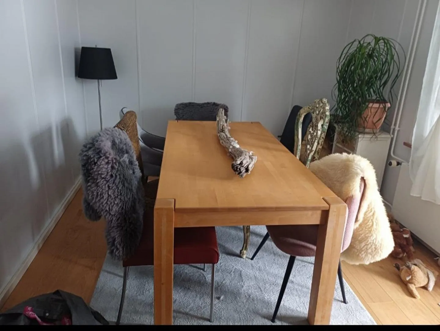 3-room ground floor apartment for rent immediately - Photo 1 of 5