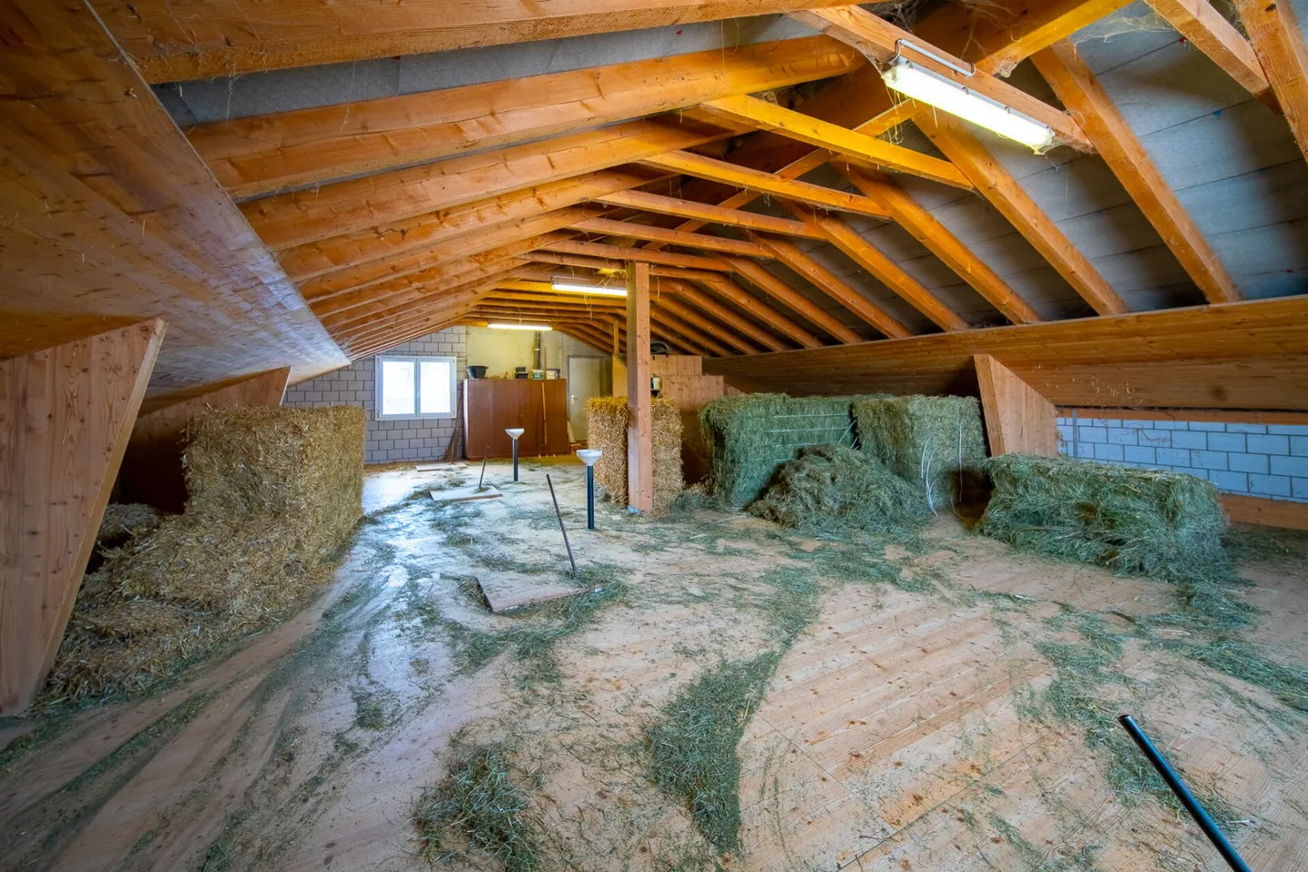 Belle maison avec piscine et écurie - Photo 14 sur 16