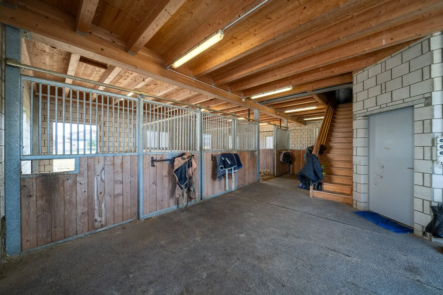Belle maison avec piscine et écurie - Photo 15 sur 16