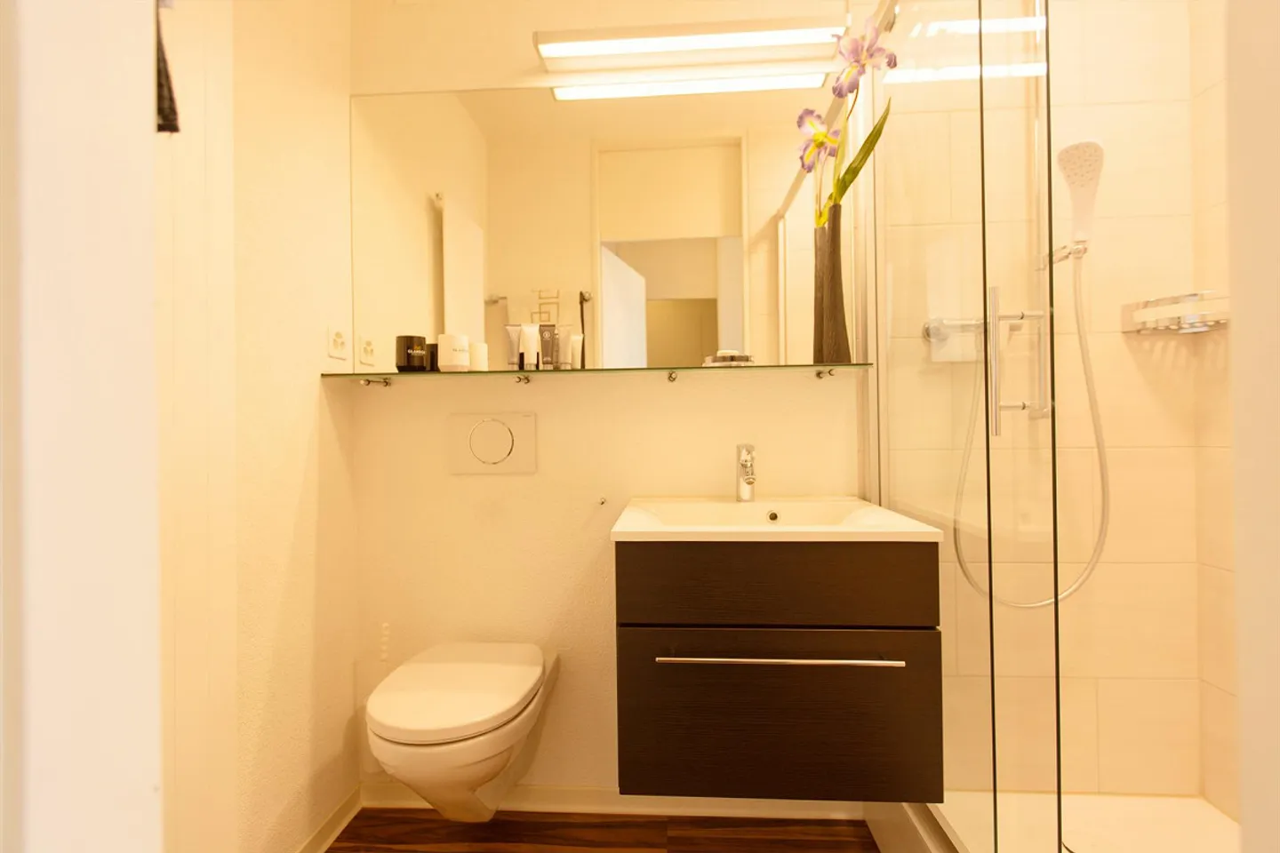 Appartamento arredato 1.5 stanze con servizio - Basilea St. Johann / Campus Novartis - Foto 5 di 7