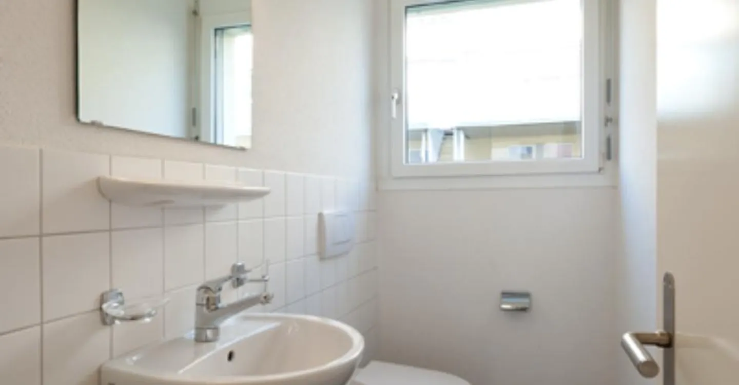 RENT WITHOUT DEPOSIT - Home in beautiful Sissach - Photo 5 of 8