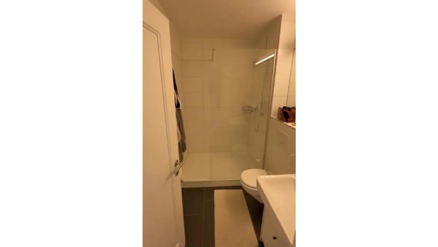 Gemütliche Wohnung in Liebfeld - Foto 6 von 6