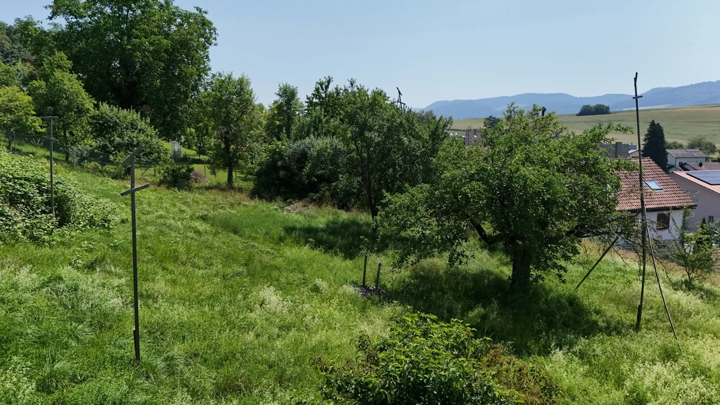 «Terrain Rare à Vendre dans un Quartier Résidentiel» - Photo 4 sur 6