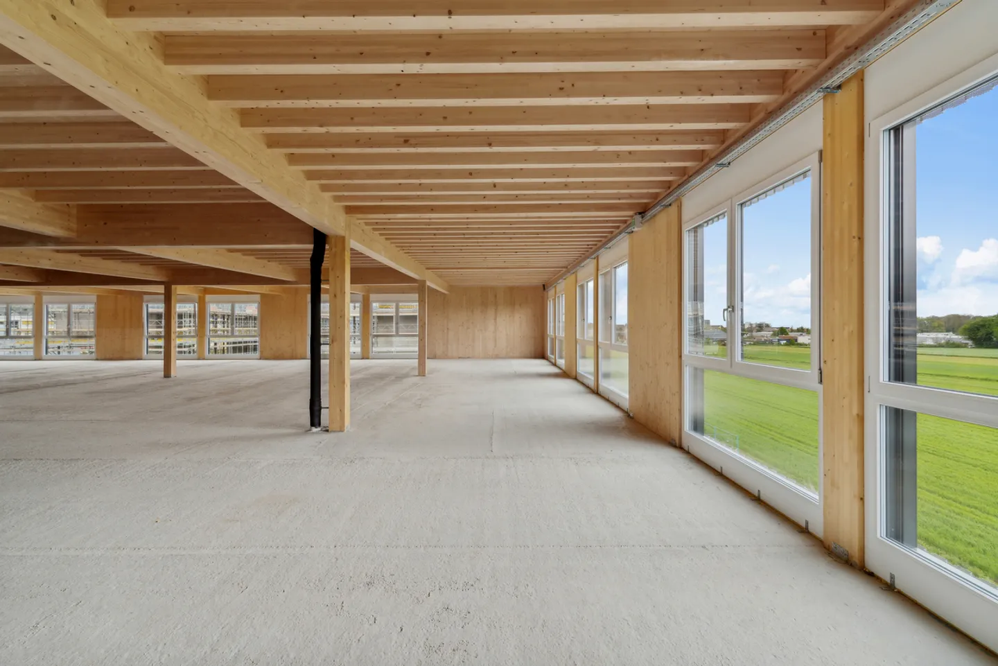 Nuovo a Gland - Bella superficie amministrativa - ufficio / 600m2 - Foto 3 di 10