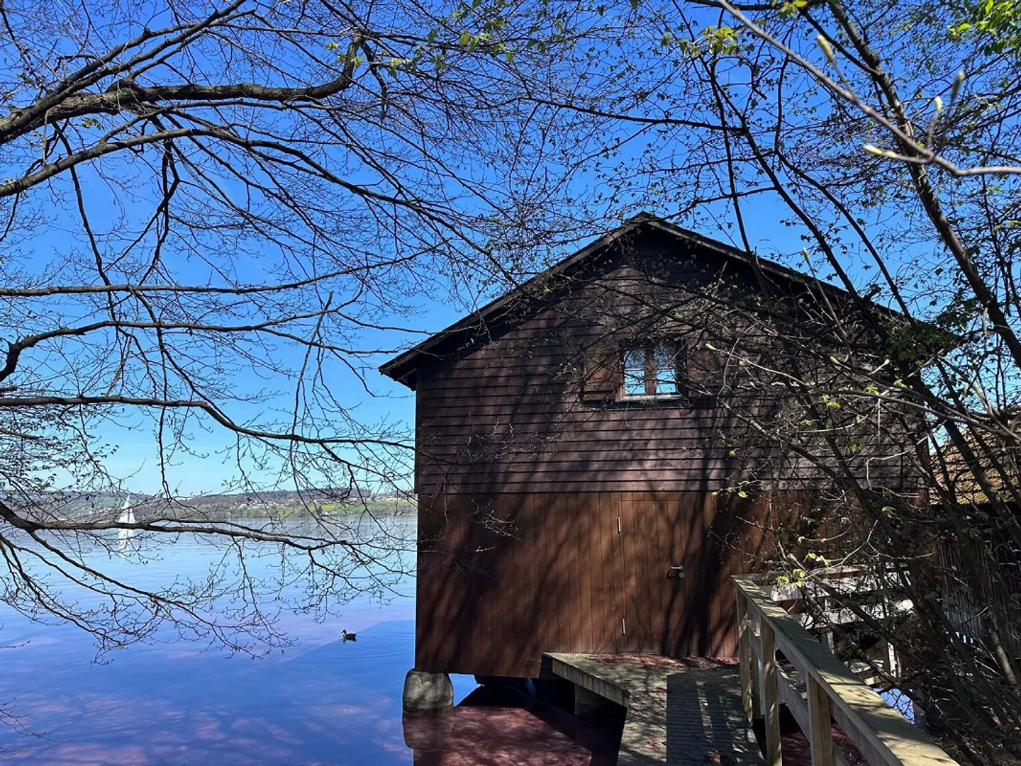 Dreamlike Boat and Bath House at Beautiful Hallwilersee - Photo 3 of 12