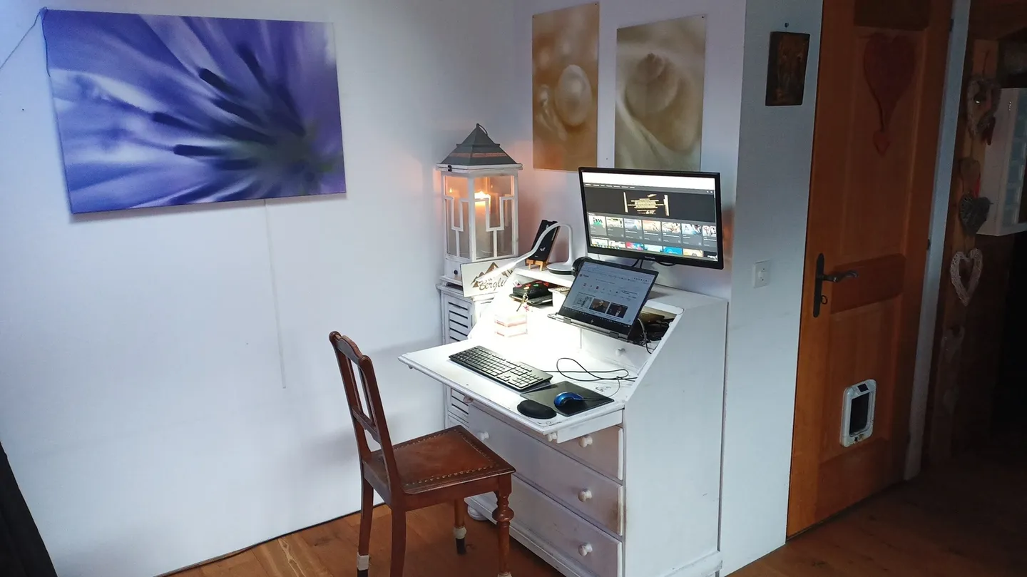 Unique Micro-Home with Lake View - Photo 6 of 10