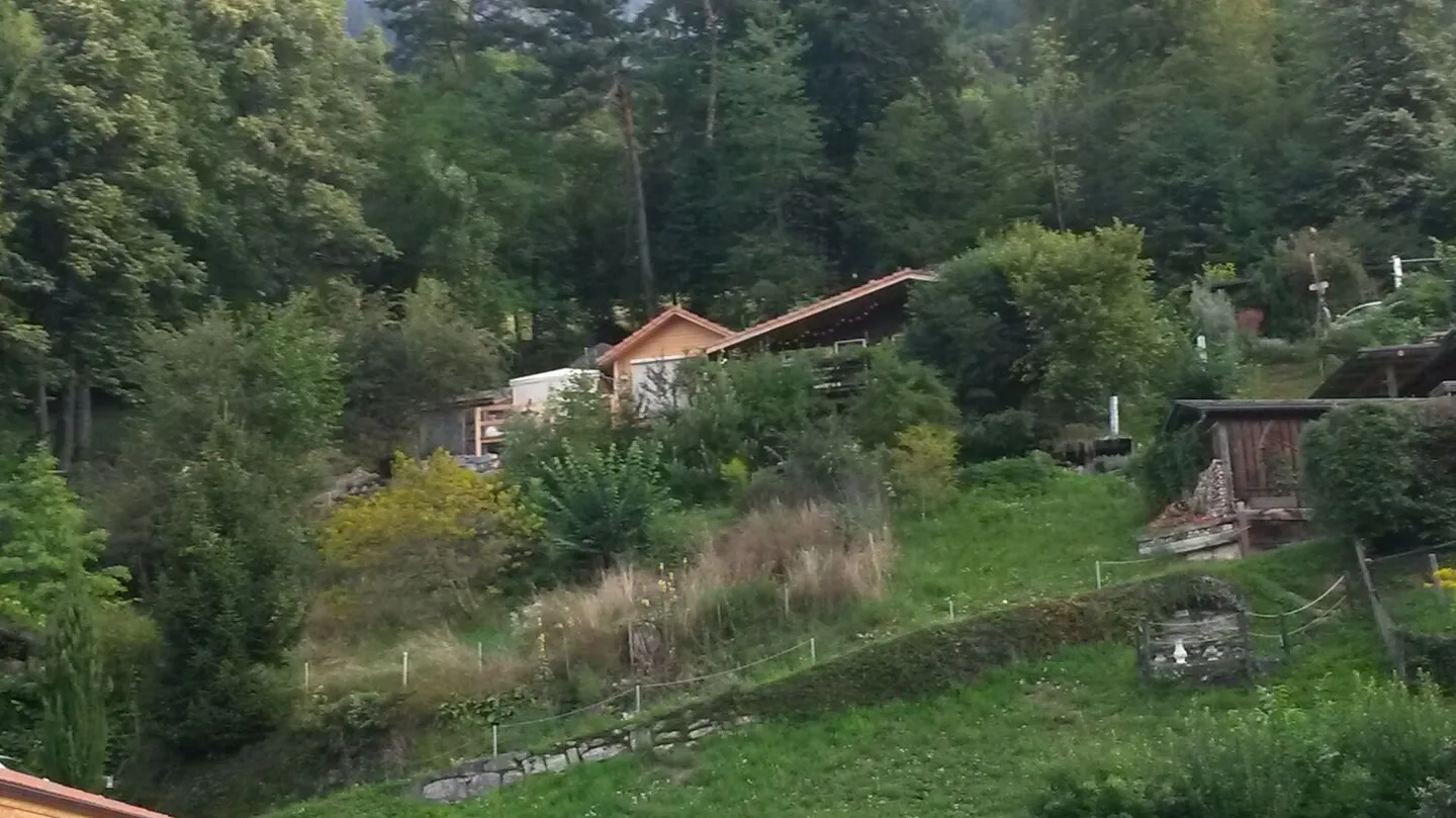 Unique Micro-Home with Lake View - Photo 10 of 10