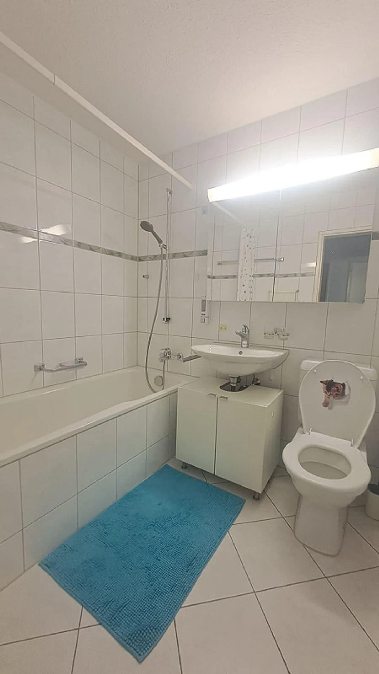 Bella appartamento di 2,5 stanze a Horw - Foto 3 di 6