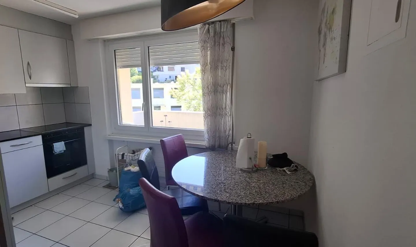 Bella appartamento di 2,5 stanze a Horw - Foto 5 di 6
