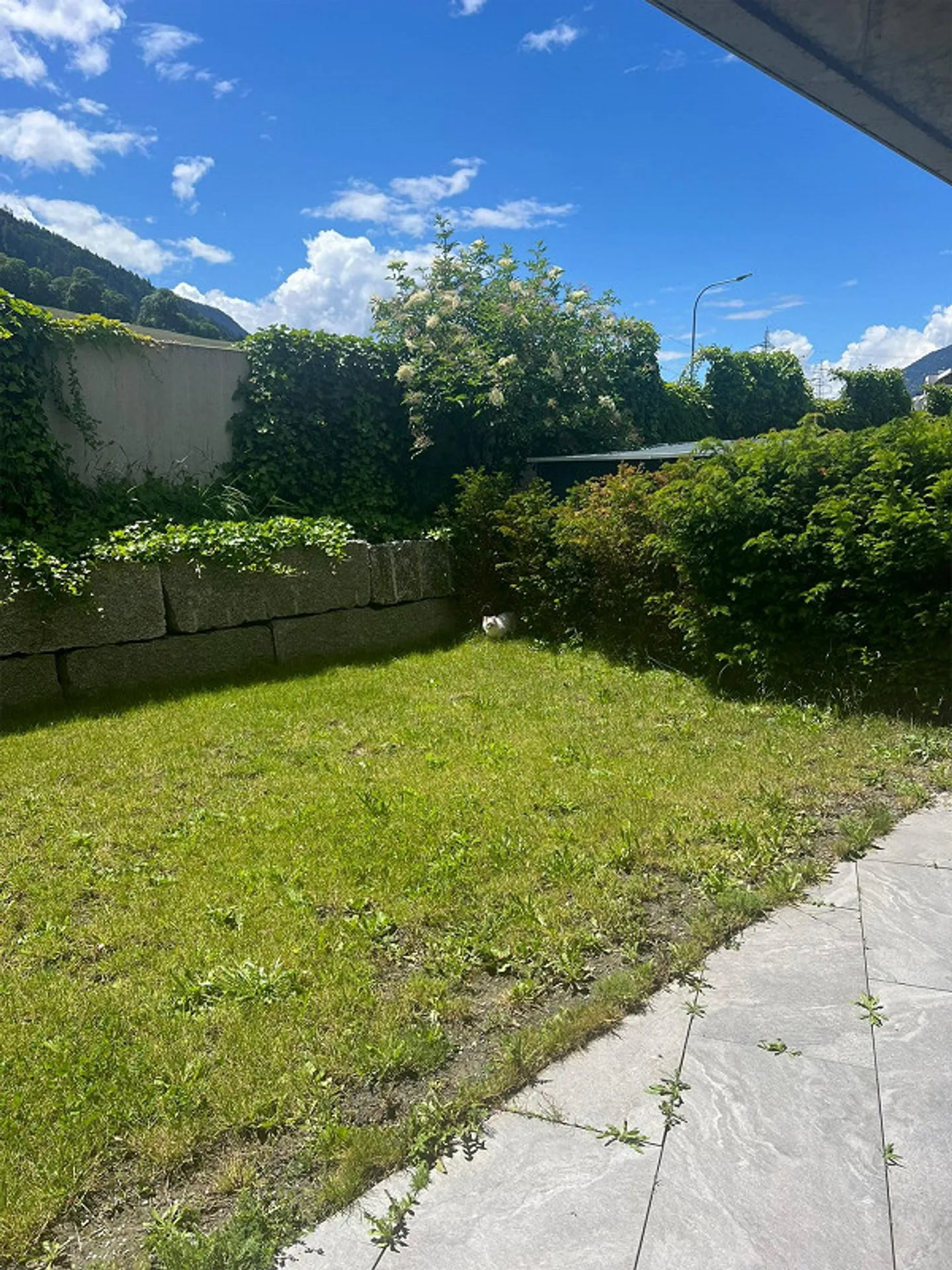 2.5 Zimmer mit Garten in Chur - Foto 2 von 3