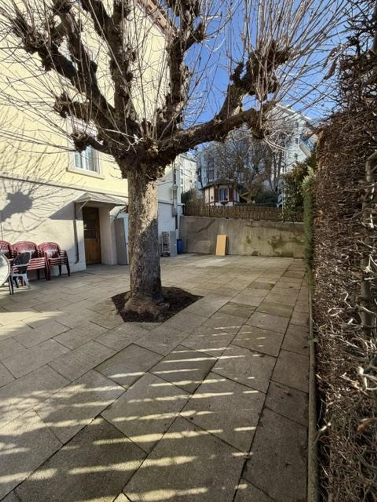 Spazio commerciale versatile con giardino in affitto - Foto 4 di 5