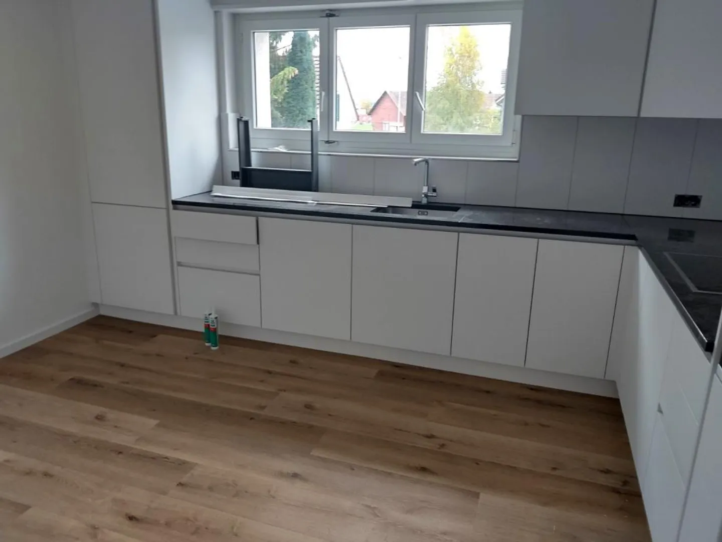 Renovated 4.5 room apartment in a quiet location - Photo 3 of 8