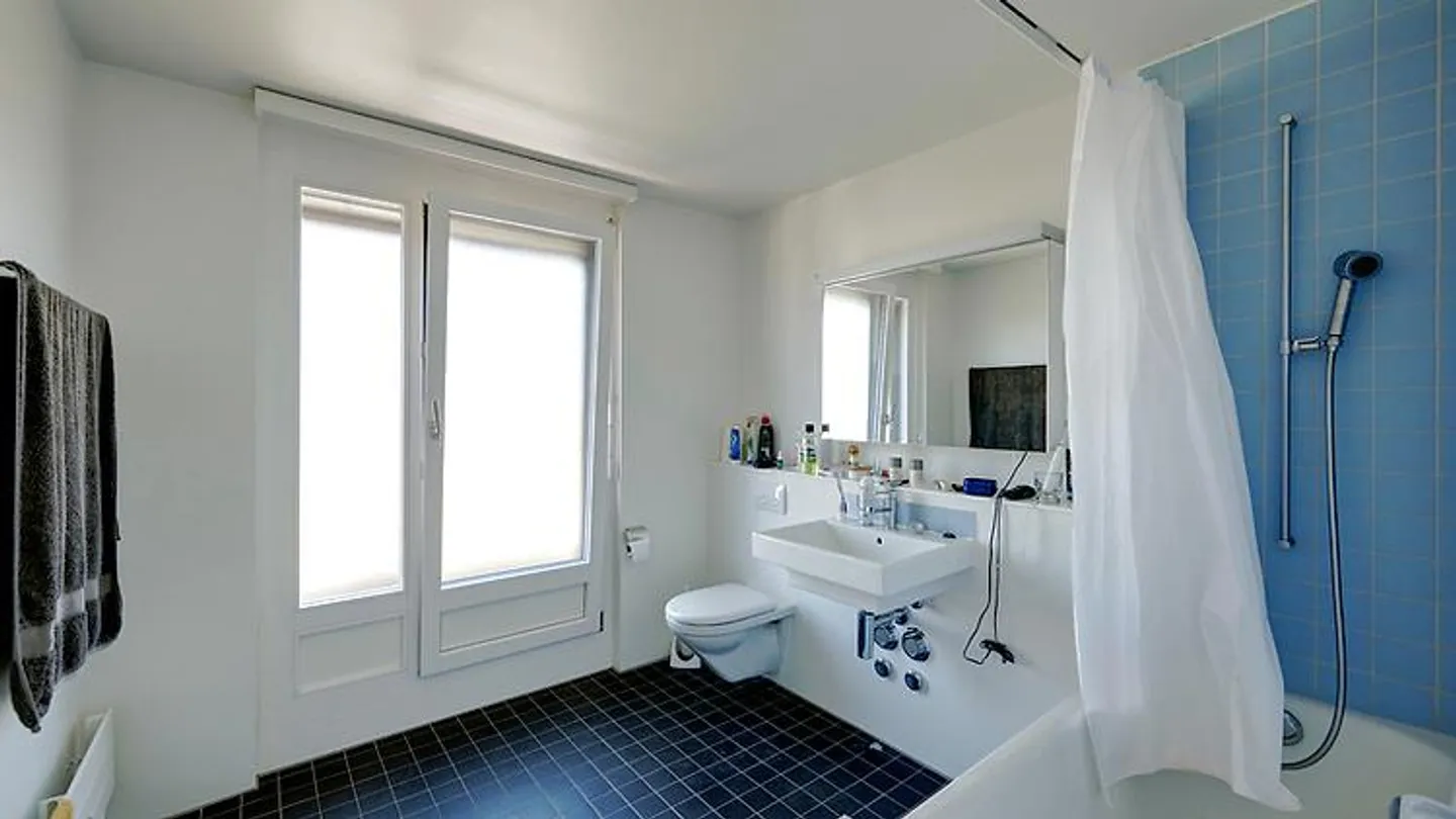 2½ ROOM PENTHOUSE APARTMENT IN BERN - LÄNGGASSE, FURNISHED, TEMPORARY - Photo 7 of 10