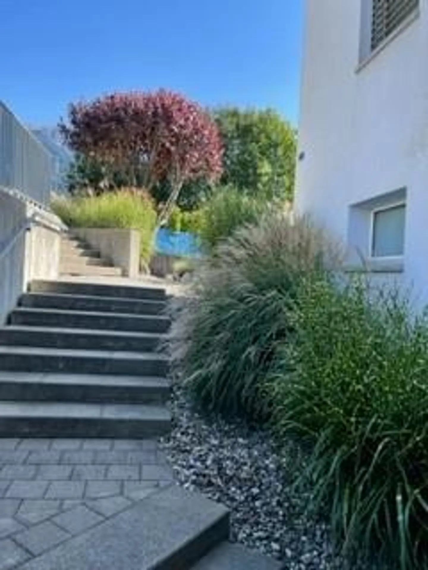 Exklusives Büro mit Privatgarten - Foto 15 von 21