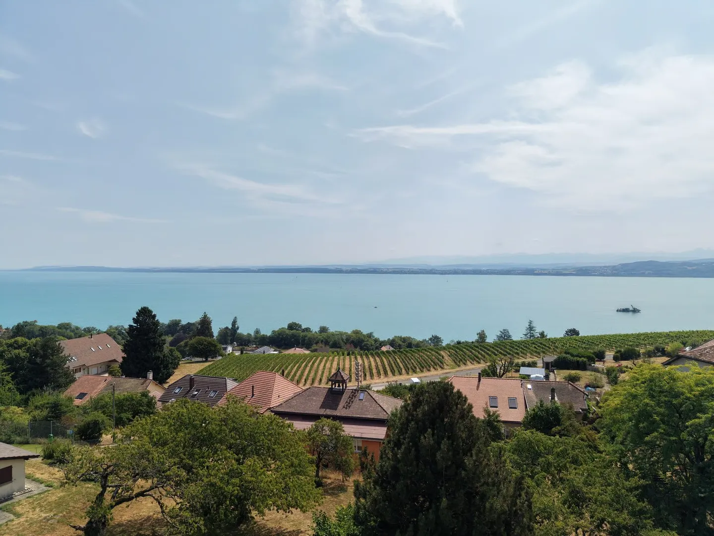 Villa with unobstructed views, spacious rooms, and a quiet environment – Vaumarcus - Photo 14 of 15