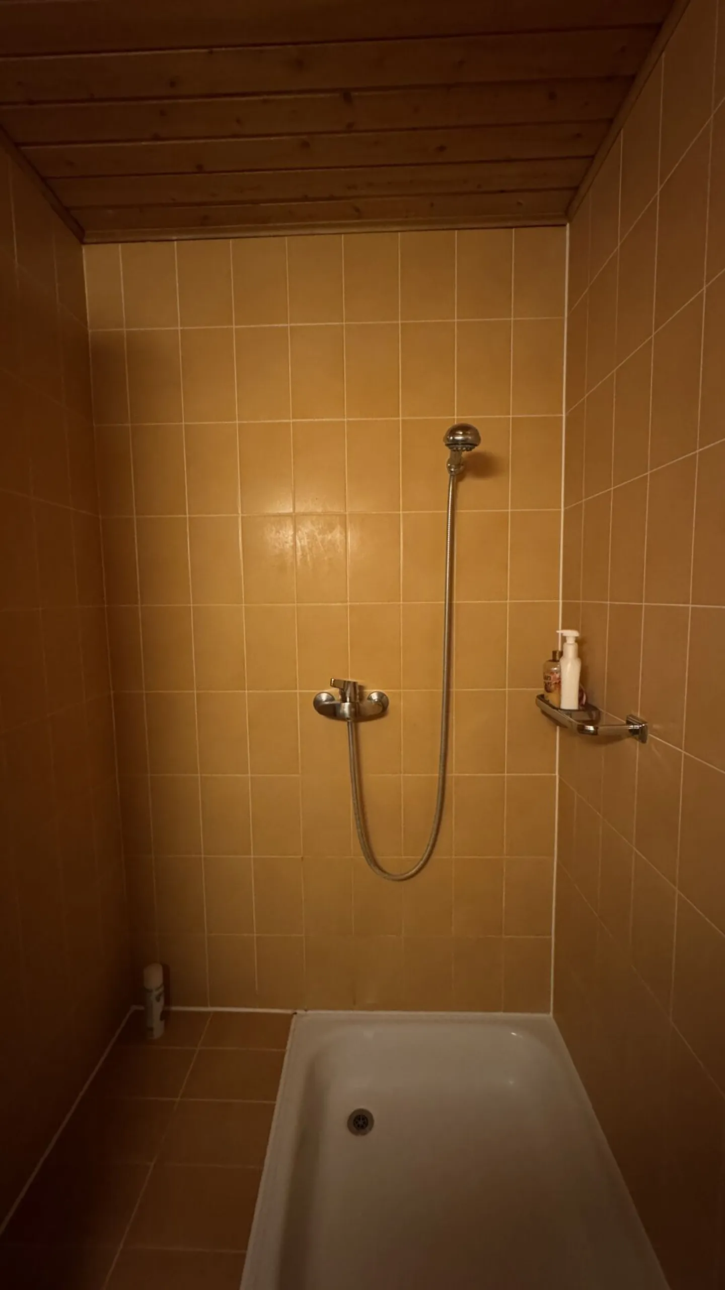 Charmante Wohnung in Neuchâtel - Foto 5 von 5