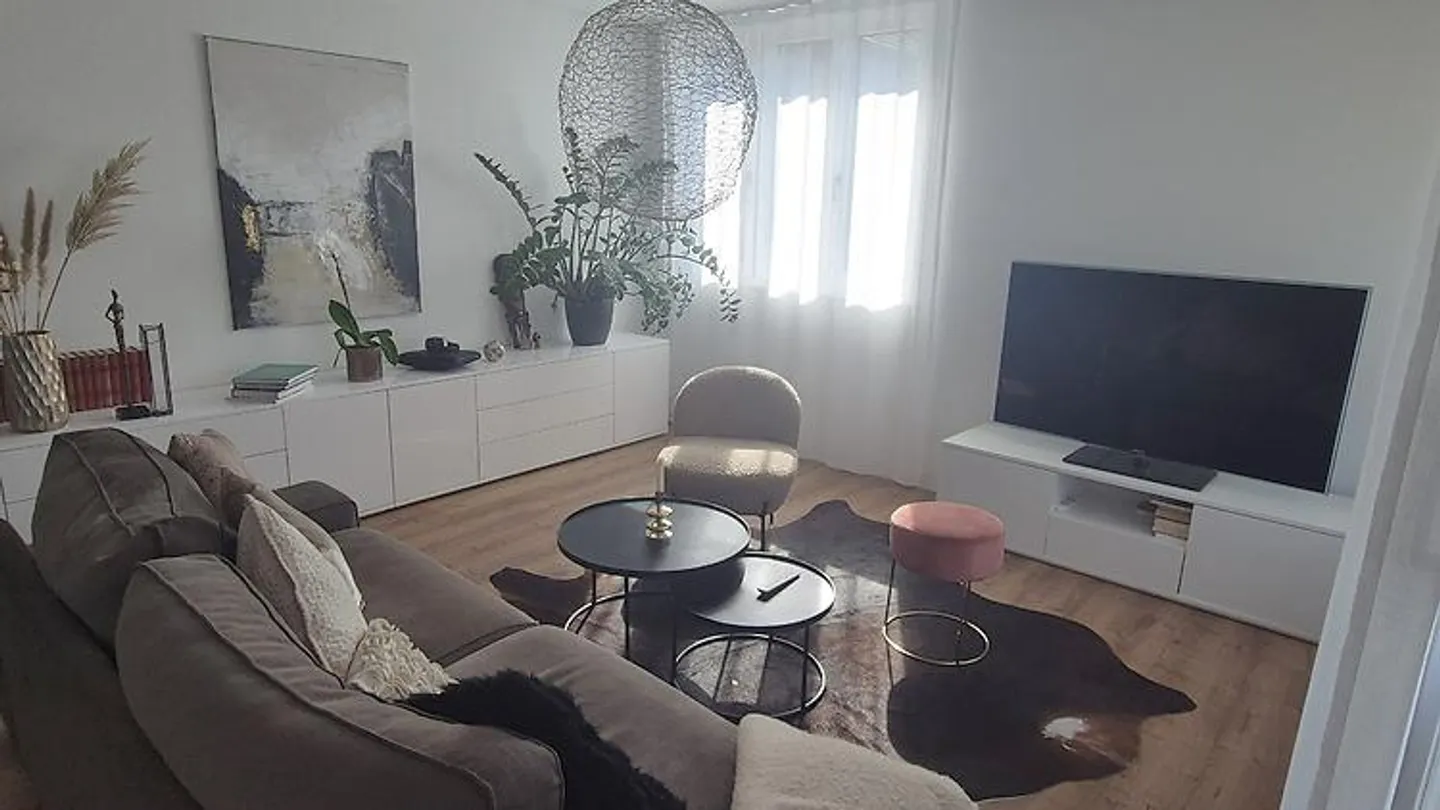 2½ ROOM APARTMENT IN SEENGEN (AG), FURNISHED, TEMPORARY - Photo 1 of 3