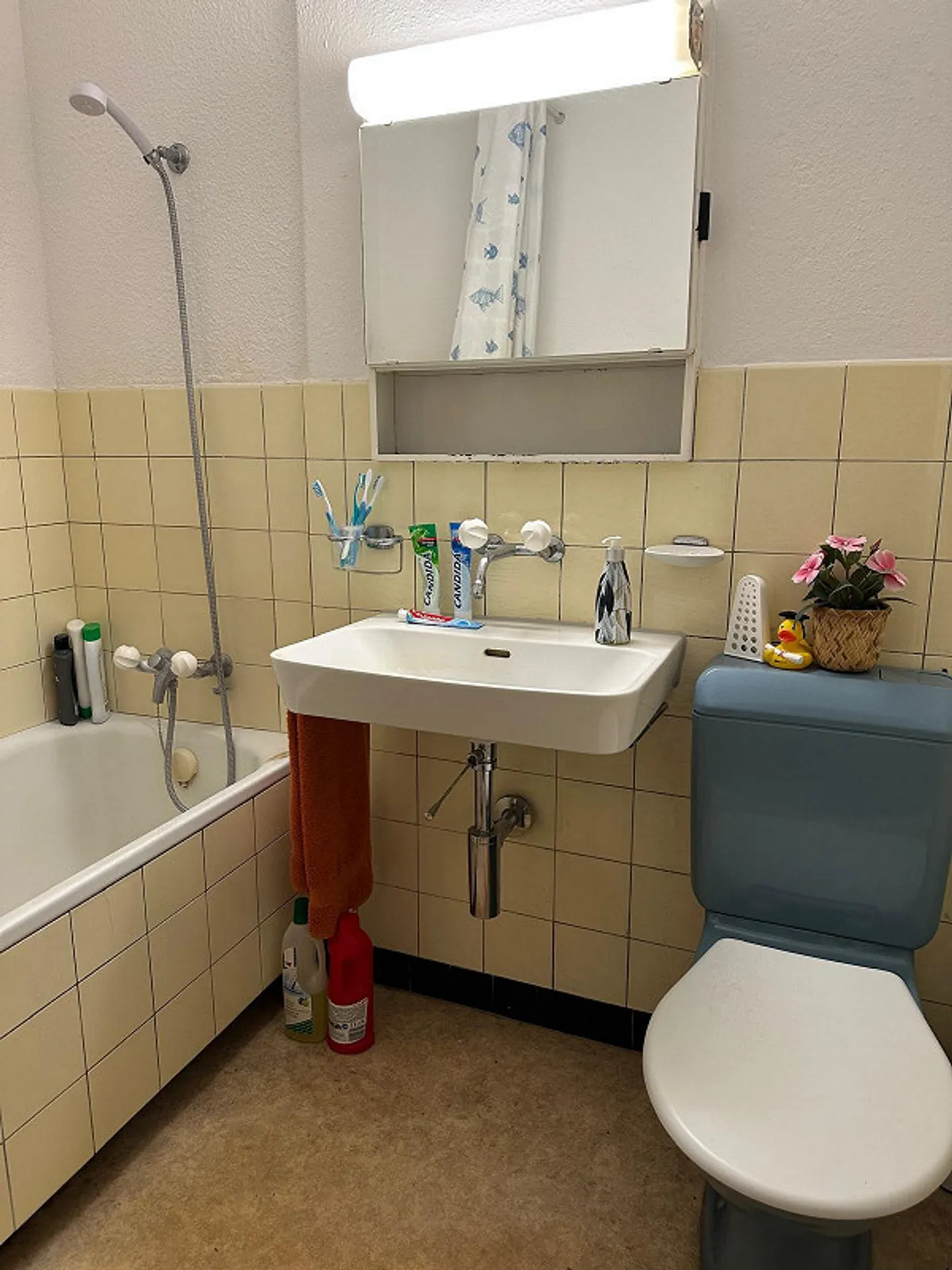 Gemütliche Gartenwohnung in Neuenhof - Foto 4 von 7