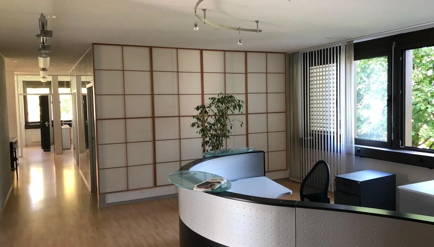 Uffici luminosi e sviluppati con vista per un lavoro ispiratore - Foto 7 di 10