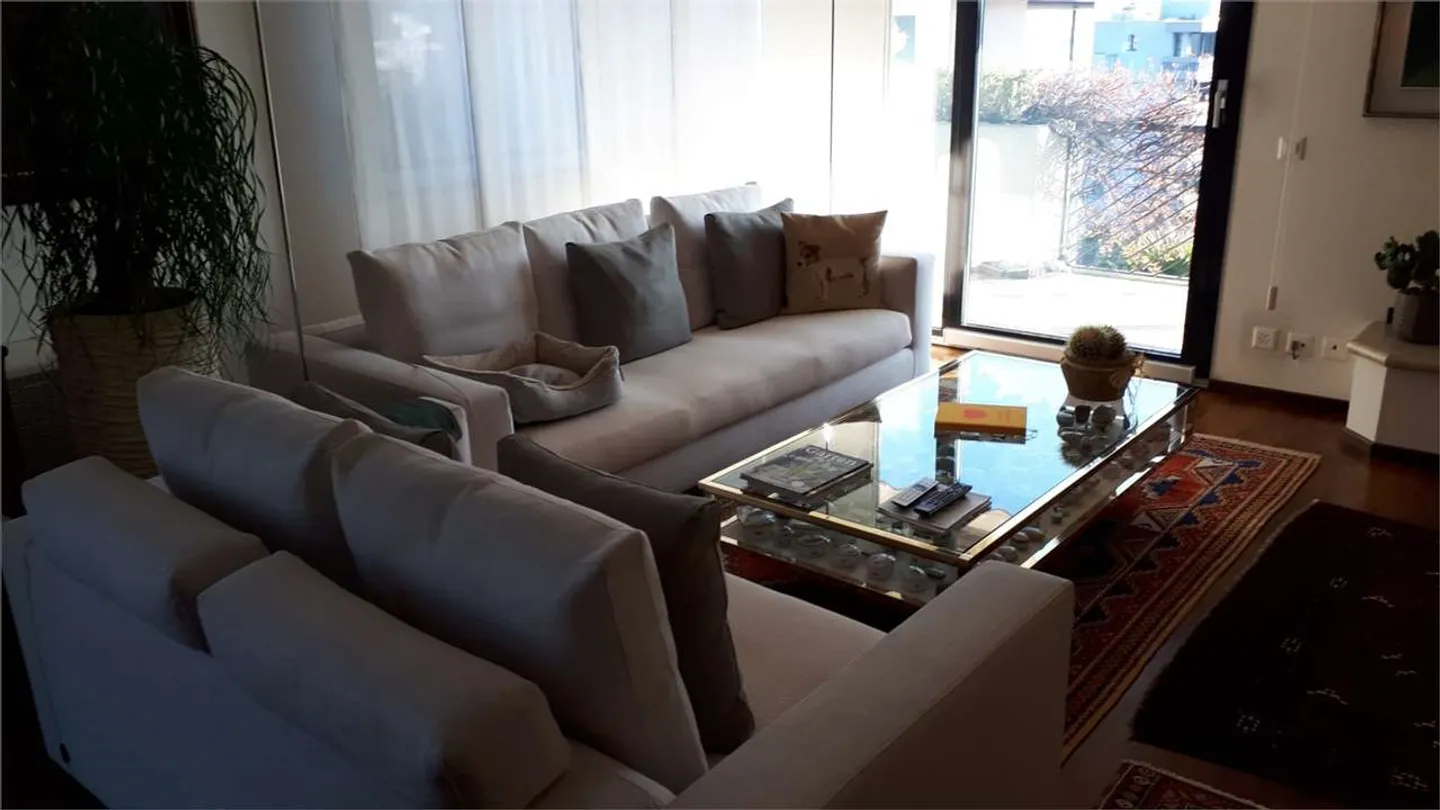Lugano, elegante 6,5 locali con terrazzi - Foto 5 di 13