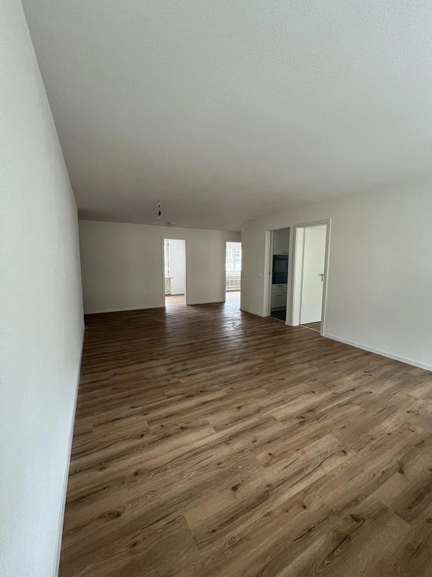 Freshly renovated 4.5-room apartment with lake view in Goldau - Photo 3 of 11