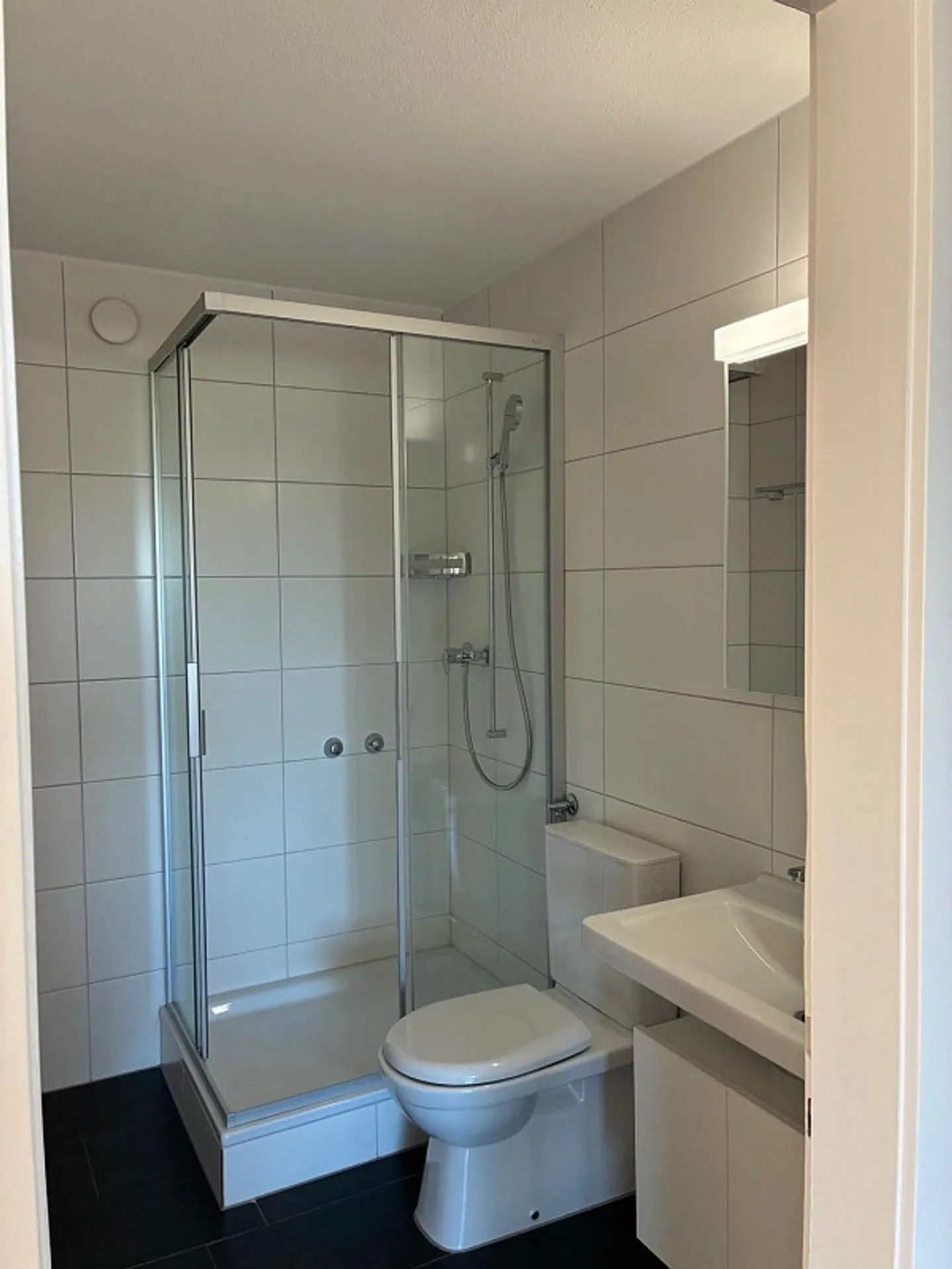 Vivere in centro: Ampio appartamento con 4 stanze ad Amriswil - Foto 4 di 8