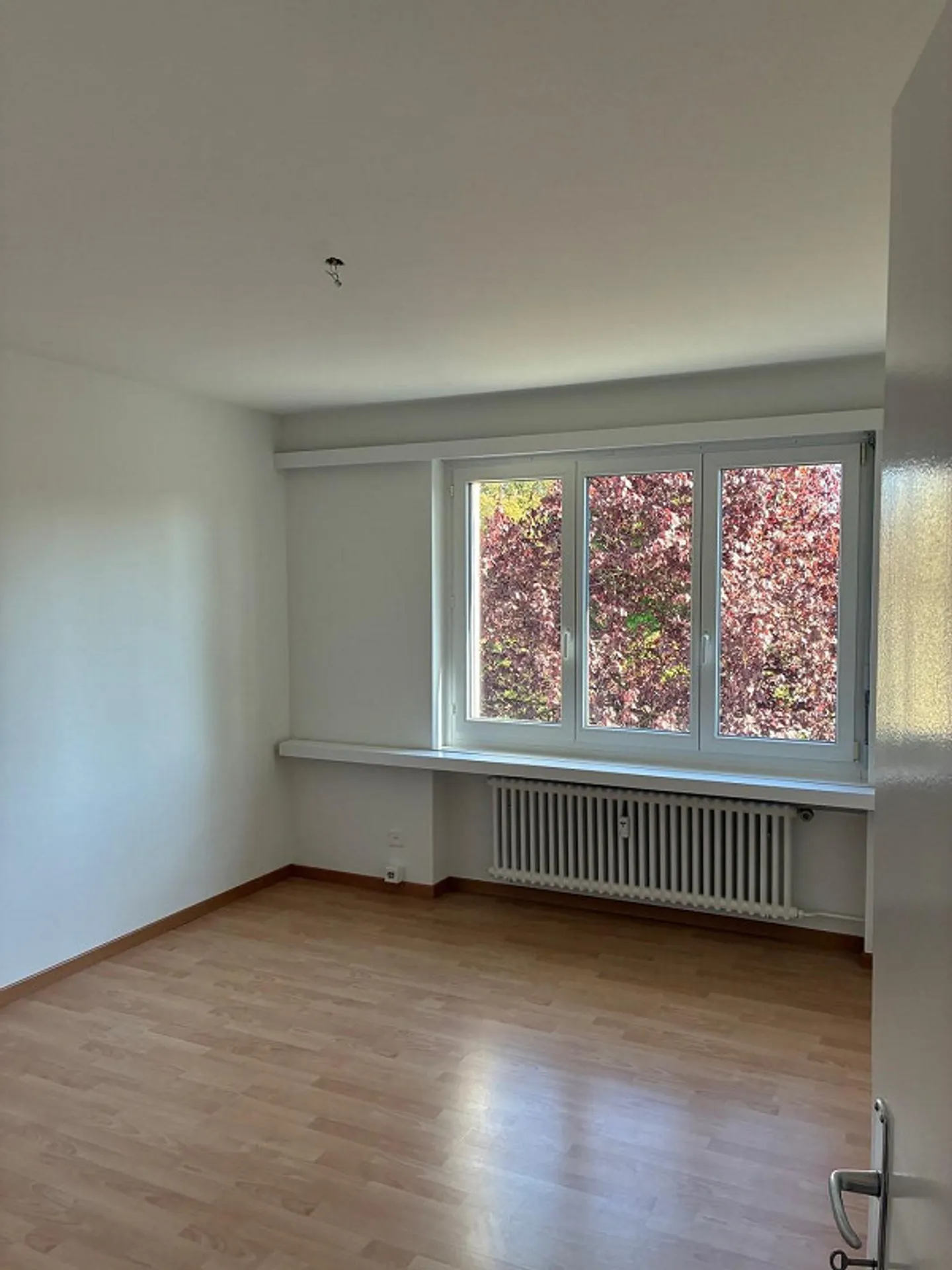 Vivere in centro: Ampio appartamento con 4 stanze ad Amriswil - Foto 6 di 8
