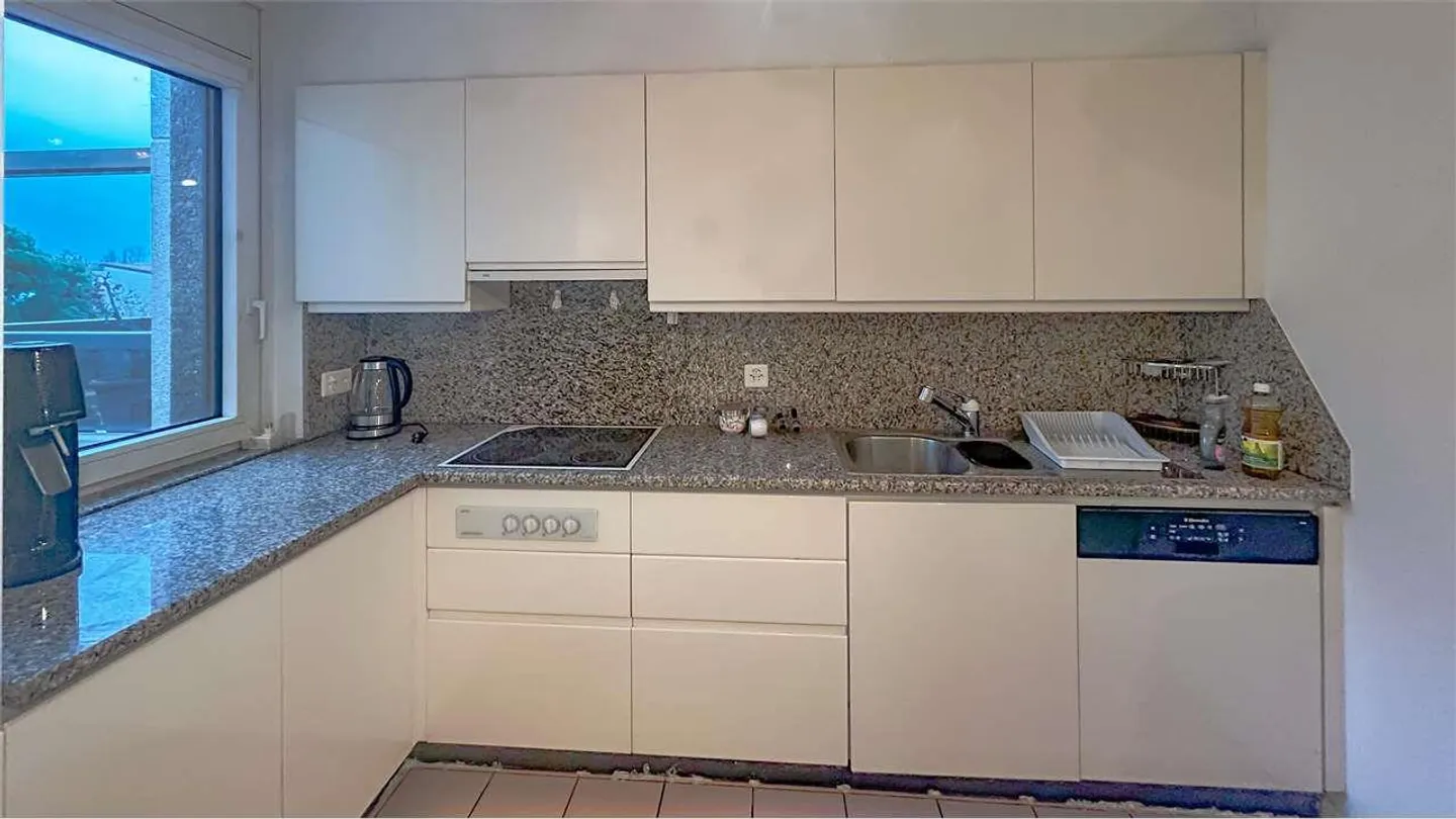 3.5 PIÈCES EN BORD DE LAC AVEC PISCINE - Photo 5 sur 12