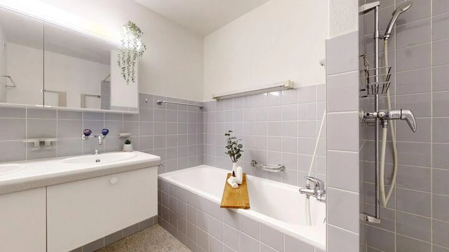 Freshly Renovated Garden Apartment in Lyss - Photo 4 of 6