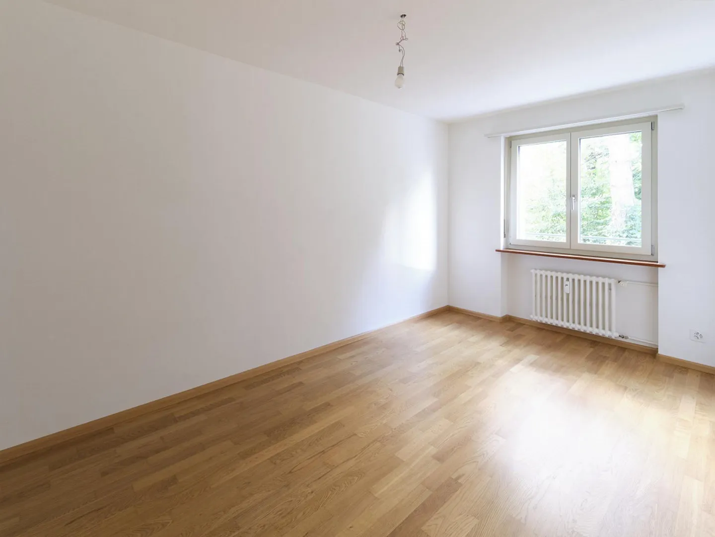 First rental: Living in a quiet location on the raised ground floor - Photo 4 of 8